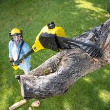 Best Arborist Consultation Services  in Maiden, NC